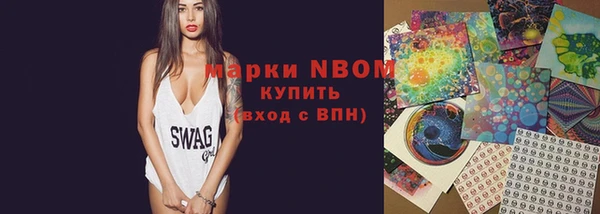 шишки Баксан